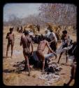 Men plucking a dead ostrich, with a group of people watching them in the background