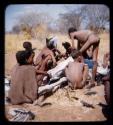 Group of people sitting around a dead ostrich