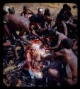 Group of people cleaning out a dead ostrich