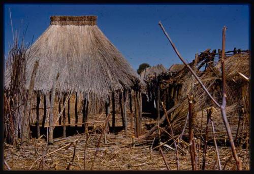 Village huts