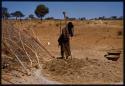 Woman threshing