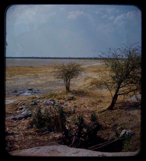 Group of women at waterhole