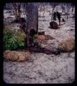 Boy sitting by mangetti trees