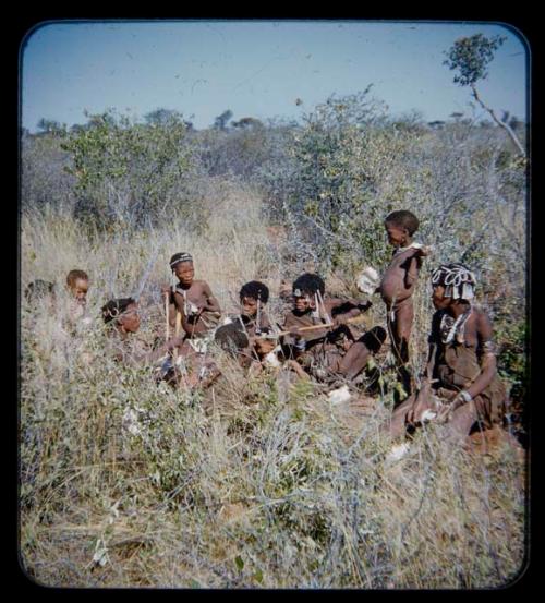 Group of people with digging sticks and roots