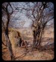 Two people and a child sitting by skerm, with something hanging in a tree