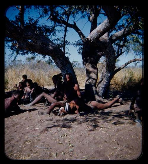 Group of people resting under a tree