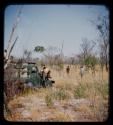 Expedition members in a truck, with two men walking ahead of them