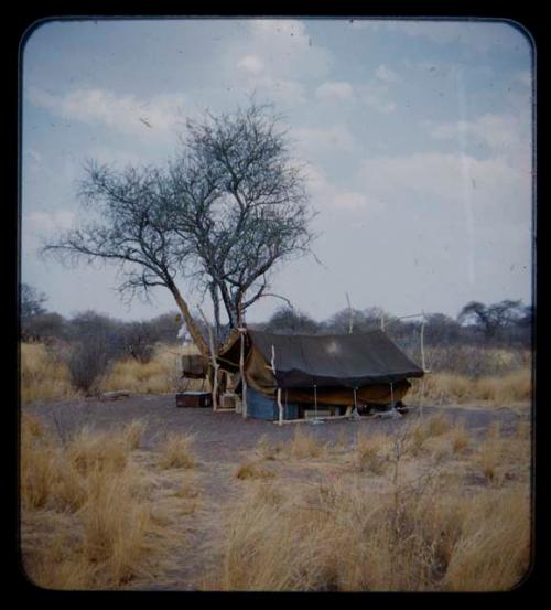 Charlie Handley's tent