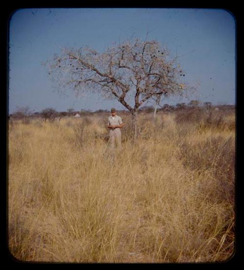 Charles Handley standing underneath a tree with fruit