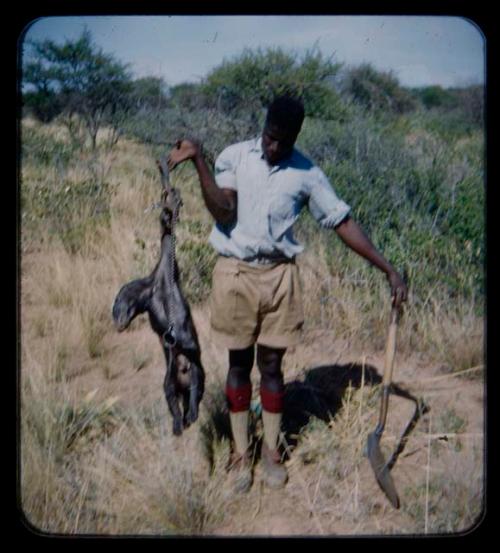 Expedition member holding a dead badger