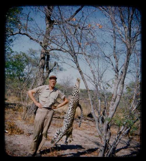 Charles Handley standing next to a dead leopard hung from tree