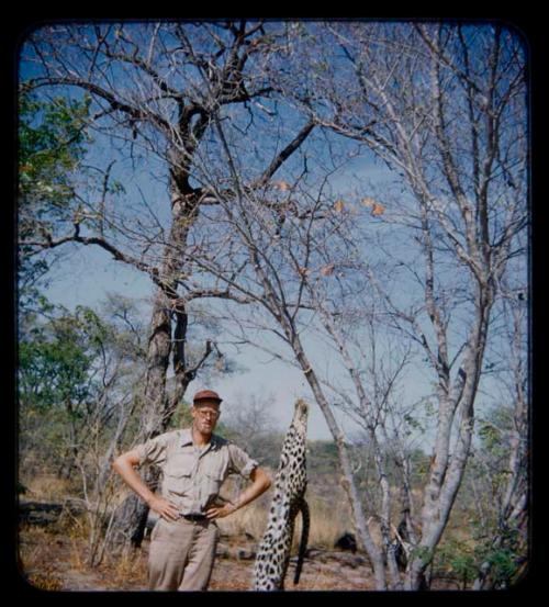 Charles Handley standing next to a dead leopard hung from tree