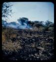 Fire: Burned grass and smoke from a distance