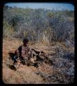 Fiber Root: Woman loading fiber roots into kaross, with a child sitting beside her