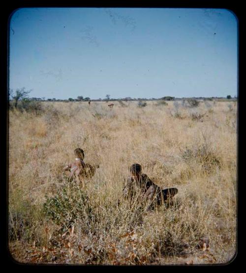 Fiber Root: People gathering on the veld