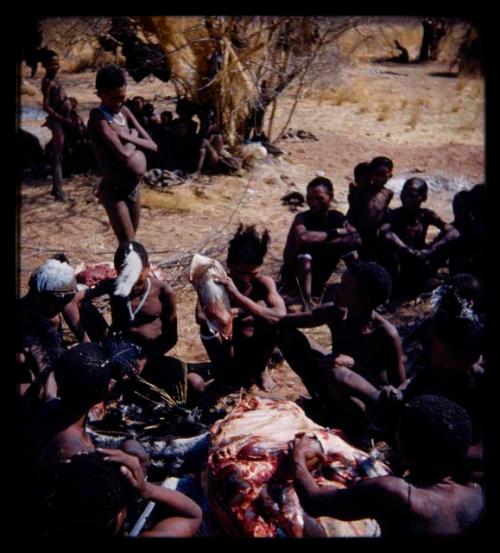 Food, Meat: Man cutting up ostrich meat, with a group of people watching him