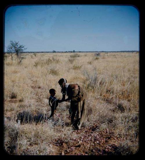 Food Gathering, Children: Woman leaning toward a boy to adjust something in the veld