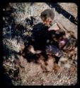 Food Gathering, Children: Woman lifting root from ground, holding a baby on her back