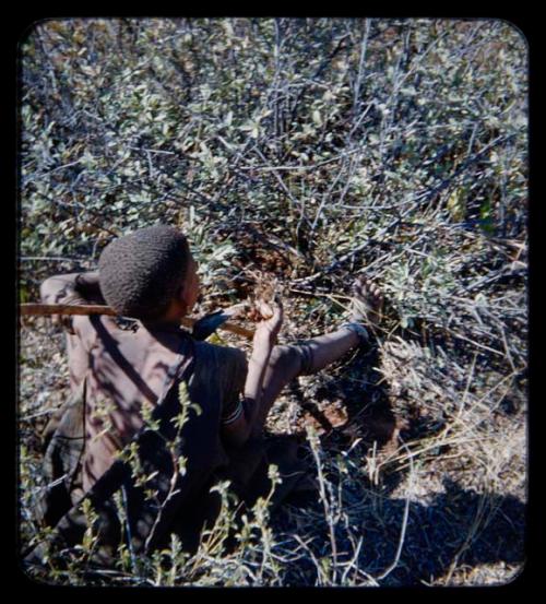 Food Gathering, General: Woman holding a root that she has dug