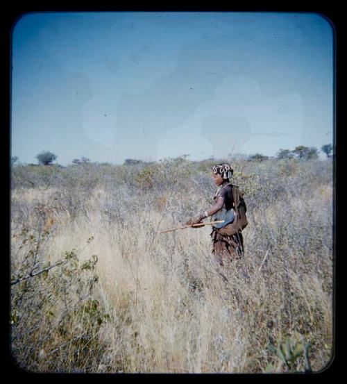 Food Gathering, General: Woman standing holding a root and a digging stick