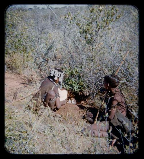 Food Gathering, Water Root: Two women sitting and digging