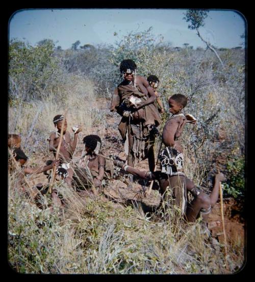 Food Gathering, Water Root: Group of women and children eating roots and digging