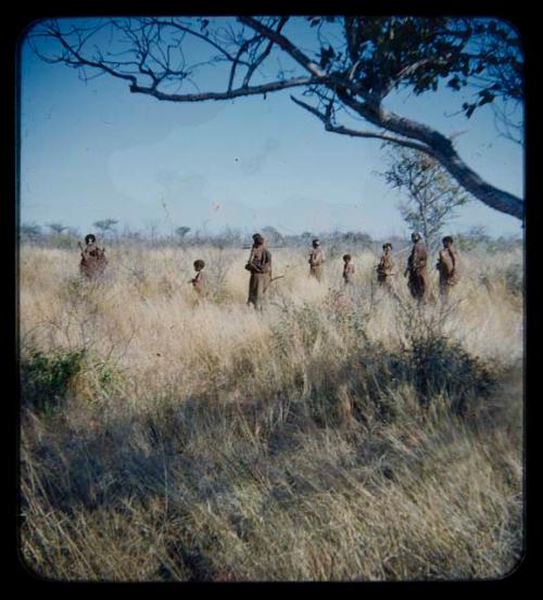 Food Gathering, Men:  Group of people walking through grass