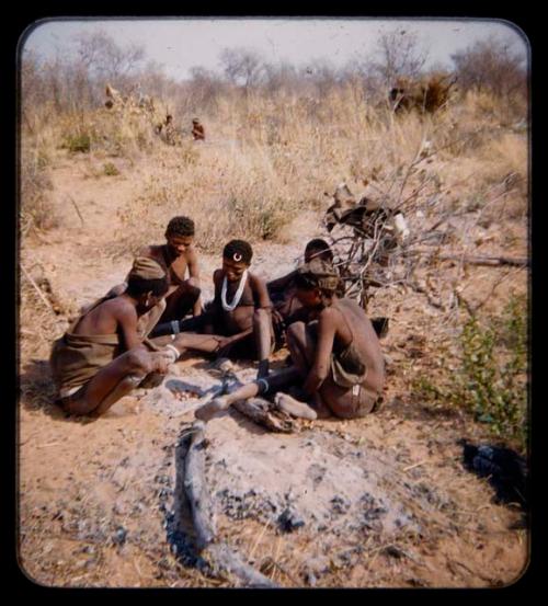 Food Gathering: Group of people sitting by ashes and mangetti nuts