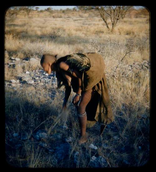 Grass: Woman gathering grass