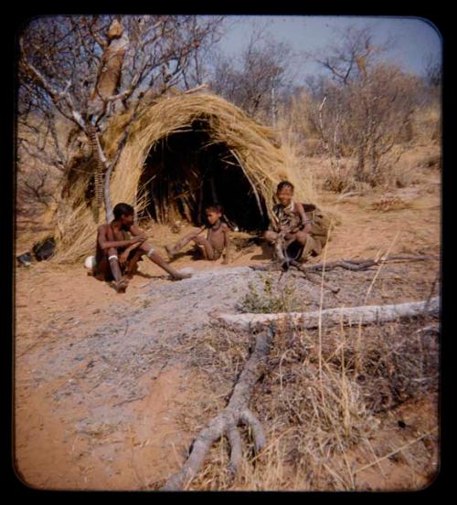 Groups: Man, woman and child sitting in front of a skerm, with dance rattles hanging on a tree