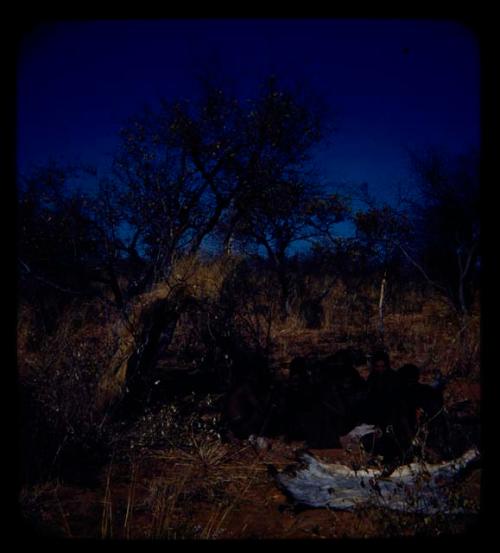 Groups: Group of people gathered by a skerm, with someone working on animal skin in the foreground