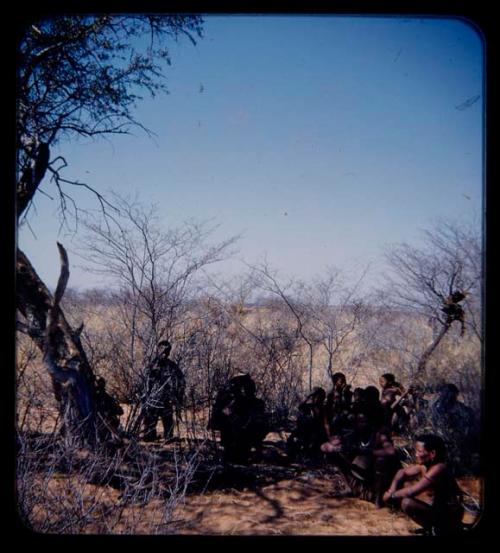 Groups: Group of people stting by a tree, obscured by branches