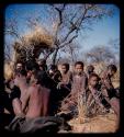 Groups: Group of people sitting by a tree, close-up