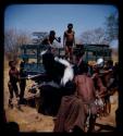 Hunting, Ostrich: Men loading an ostrich on a truck