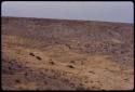 Expedition trucks driving through the landscape, seen from a distance