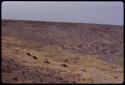 Expedition trucks driving through the landscape, seen from a distance