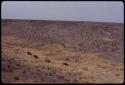 Expedition trucks driving through the landscape, seen from a distance