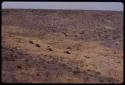 Expedition trucks driving through the landscape, seen from a distance