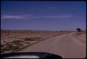 Herd of springbok on road, seen from a distance