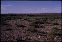 Landscape, sand and grass