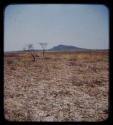 Landscape, hill in the background