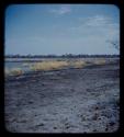 Landscape, gray sand