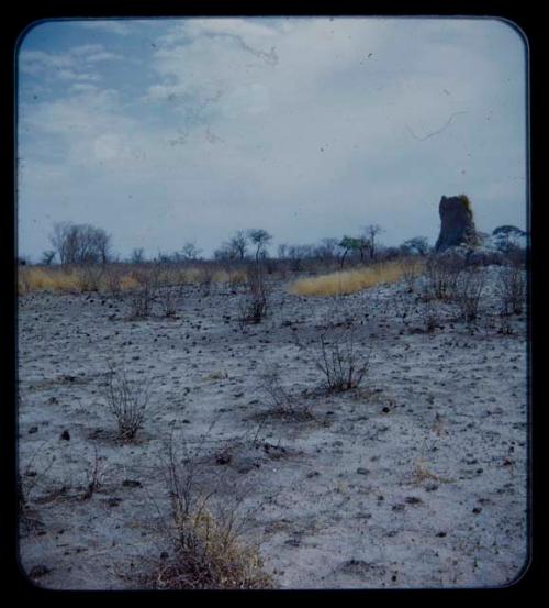 Landscape, gray sand