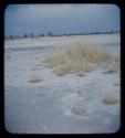 Landscape, gray sand