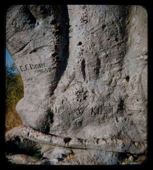 Names carved on a baobab tree