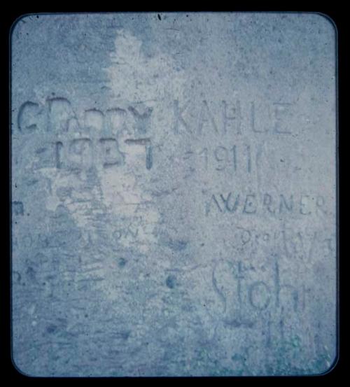 Names carved on a baobab tree