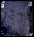 Names carved on a baobab tree