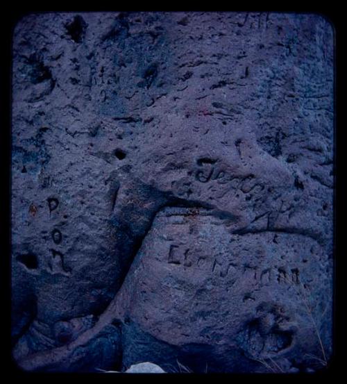 Names carved on a baobab tree