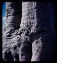 Names carved on a baobab tree