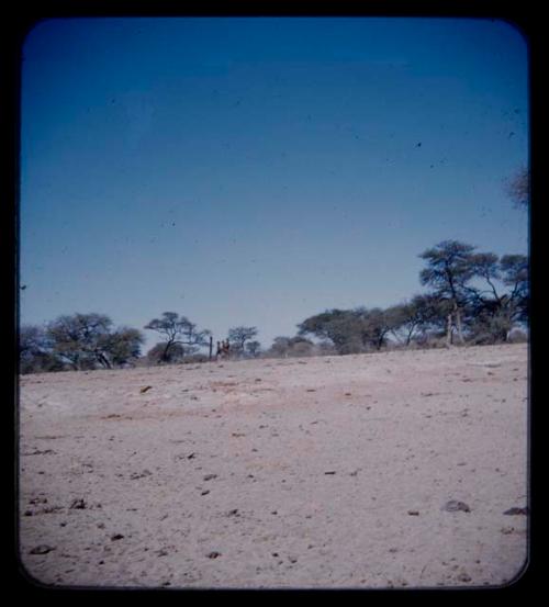 Three children walking, distant view